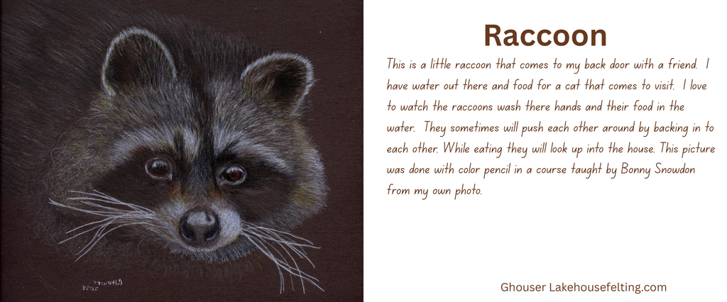 Raccoon- art printed mug