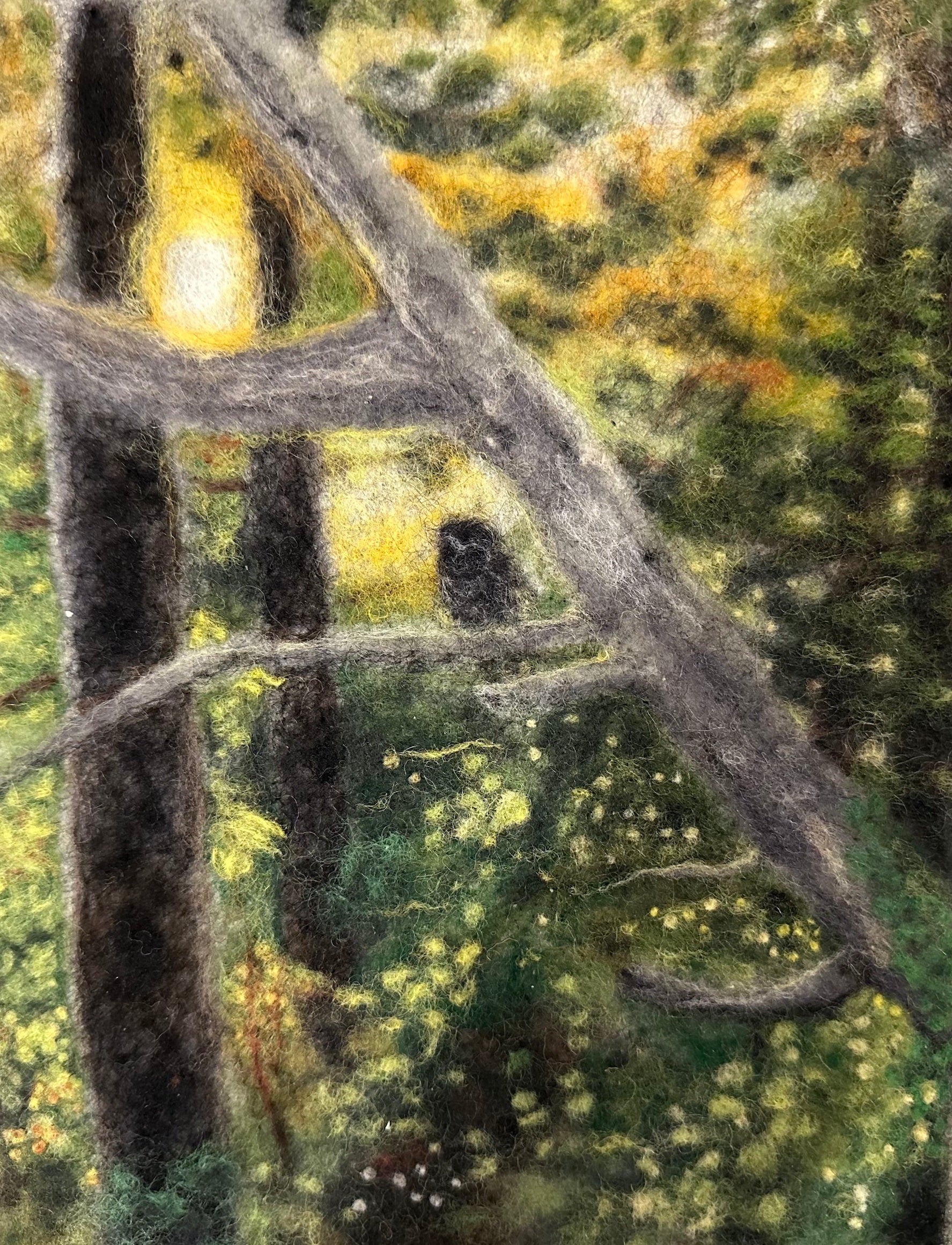 Limited Edition Print- Owl in the wood