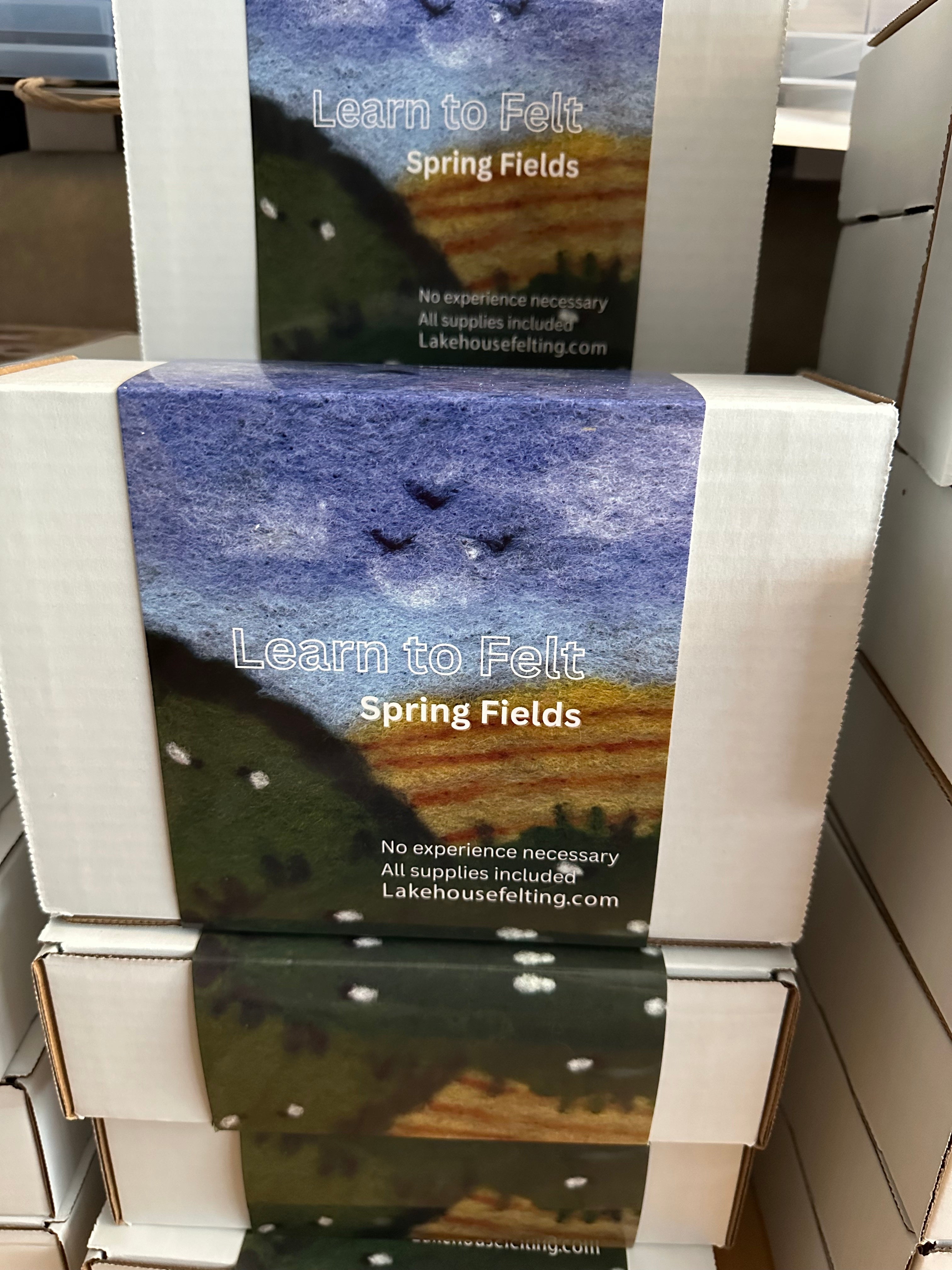 Learn to felt kit - Spring Fields